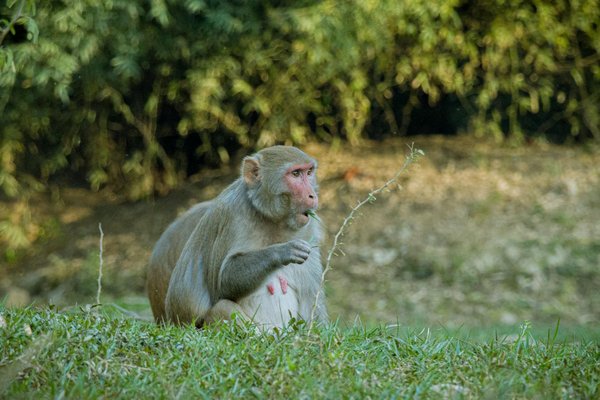 Infos concert en France : votre guide Arena Tour